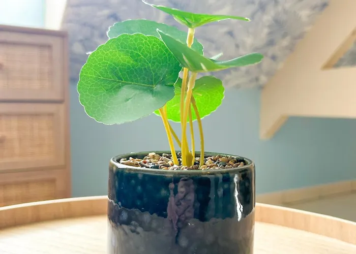 Lejlighed Cosy Loft Beauvais